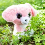 Koira Pinky - Lumo Stars - Image 2
